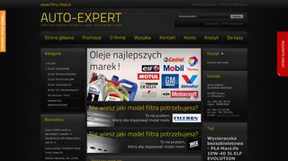 opinie Auto-Expert 