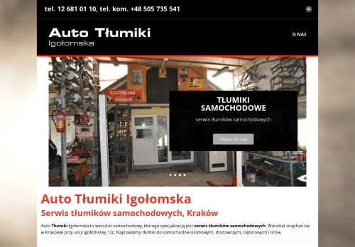 opinie Auto Tłumiki