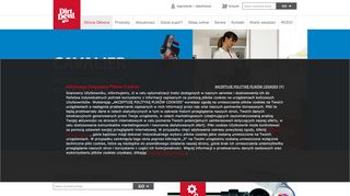 opinie Dirt-Devil.pl