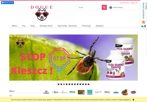 opinie Dogue24