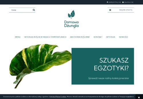 opinie Domowa Dżungla - internetowy sklep z roślinami doniczkowymi