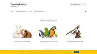 opinie Domowy Pupil