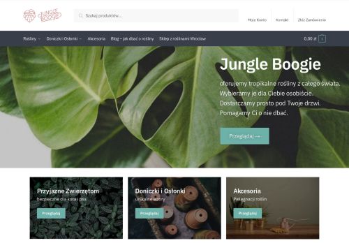 opinie Jungle Boogie