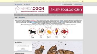 opinie Merdaogon