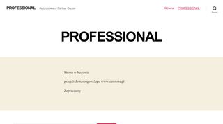 opinie PROFESSIONAL