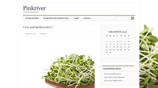 opinie PinkRiver.pl