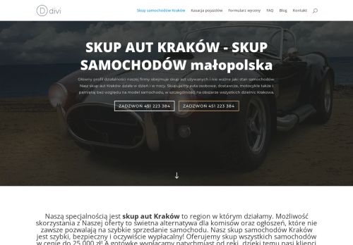 opinie Skup aut Kraków i okolice - Samochody używane od ręki