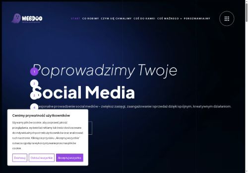 opinie WEBDOO Agencja Interaktywna - Strony Internetowe & Marketing