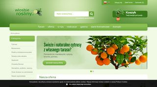 opinie WloskieRosliny.pl