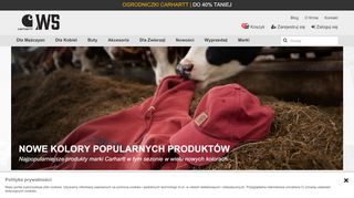 opinie WorkStyle Premium Eq.